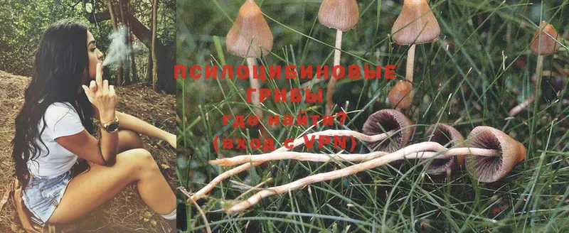 Псилоцибиновые грибы Magic Shrooms  Алдан 